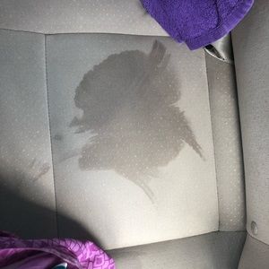 Meet your Posher, Grace